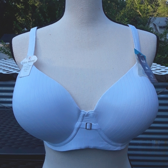 Hanes Other - Hanes Full Coverage T-Shirt Bra sz 40C